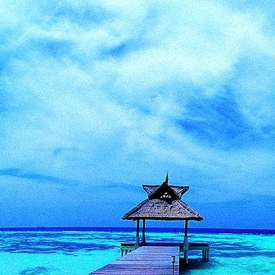 免费的行情网站app